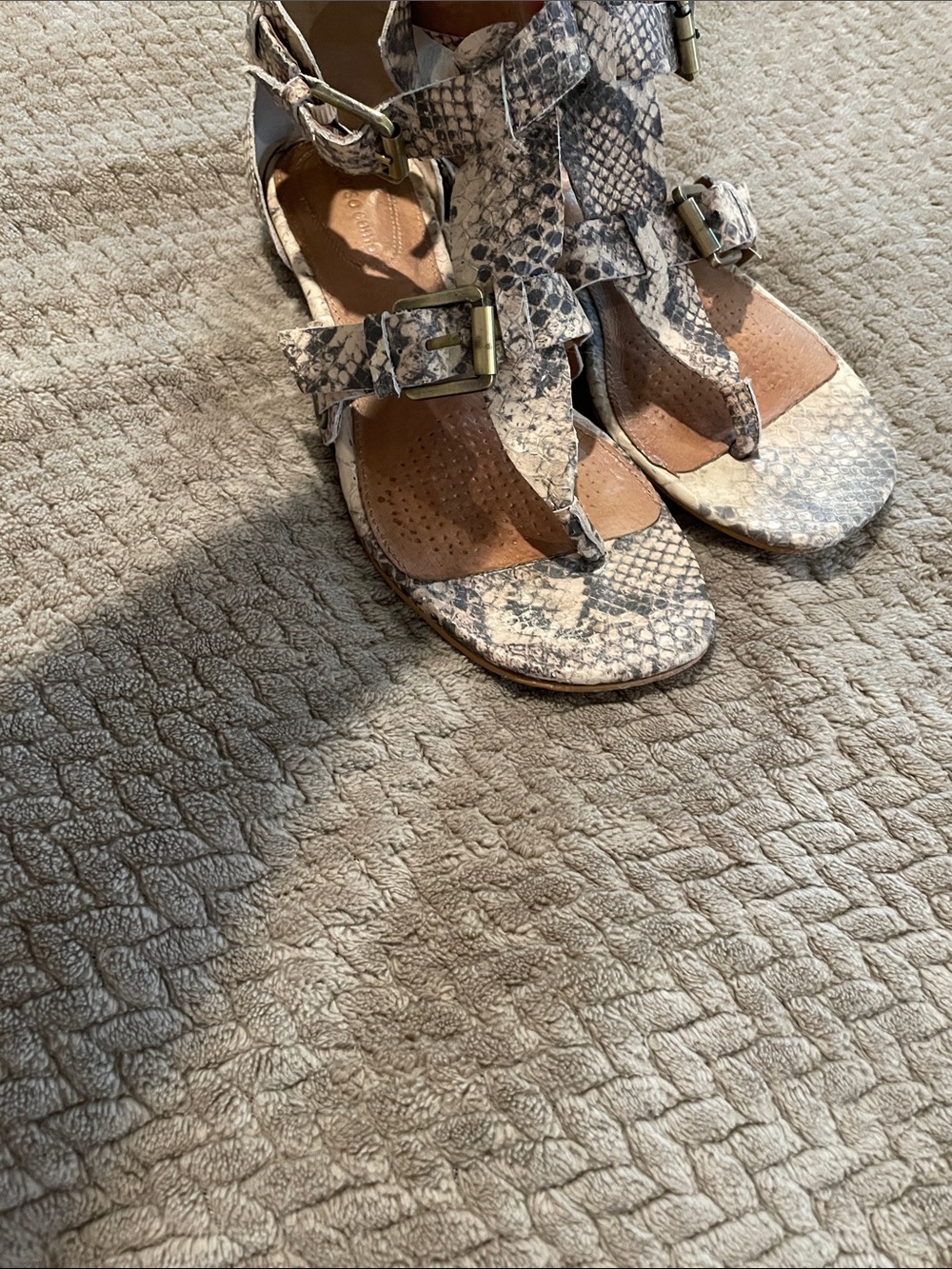 Corso Como Snake Print T-buckle sandal